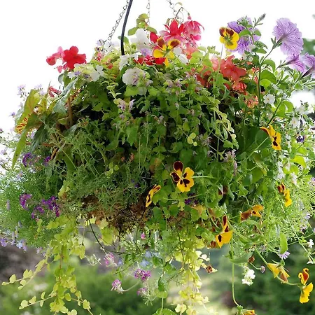 伊斯怀克庄园酒店 * Near Sawrey